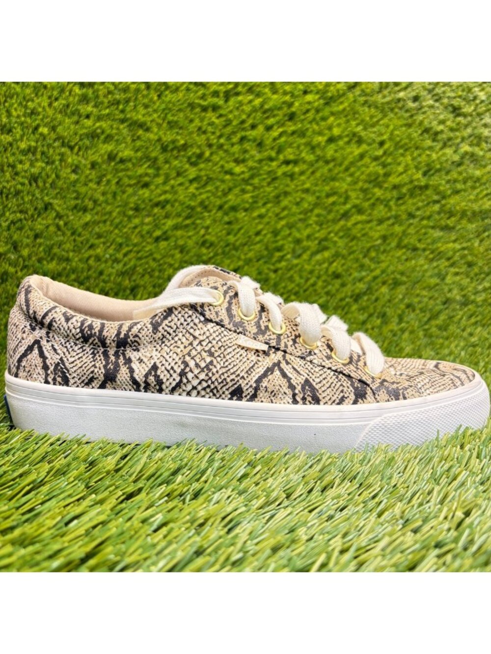 Keds Jump Kick Snake Print Womens Size 8 Cream Black Athletic Shoes Sneakers